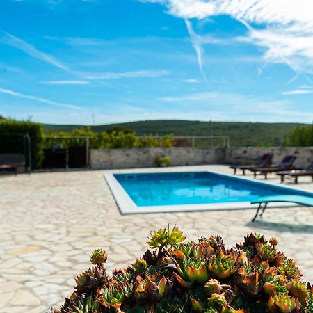 Dalmatian Country House Irena Bruska Екстер'єр фото
