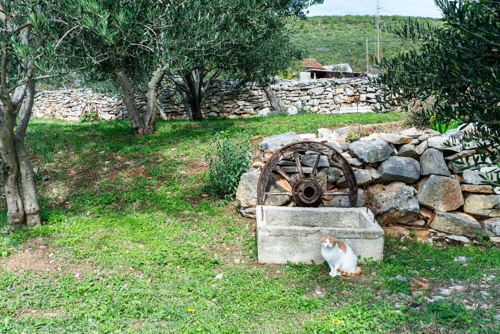 Dalmatian Country House Irena Bruska Екстер'єр фото